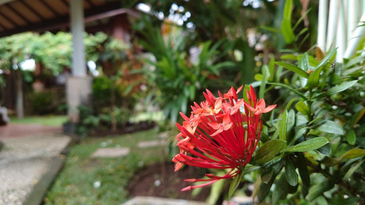 شقة Bale Asri Bukit Jimbaran المظهر الخارجي الصورة